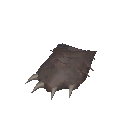 熊掌