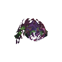 蕨菜花