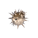 河豚