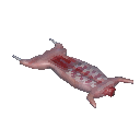 野兔肉