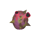 Elder heart