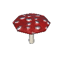 毒蕈