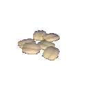 燕麦